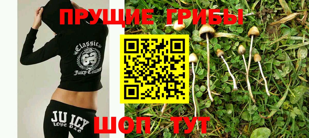 Псилоцибиновые грибы прущие грибы  Вход с VPN  Армавир 